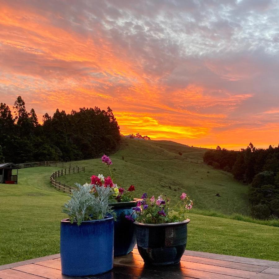 Kauri Glen Bnb Te Arai Exteriér fotografie