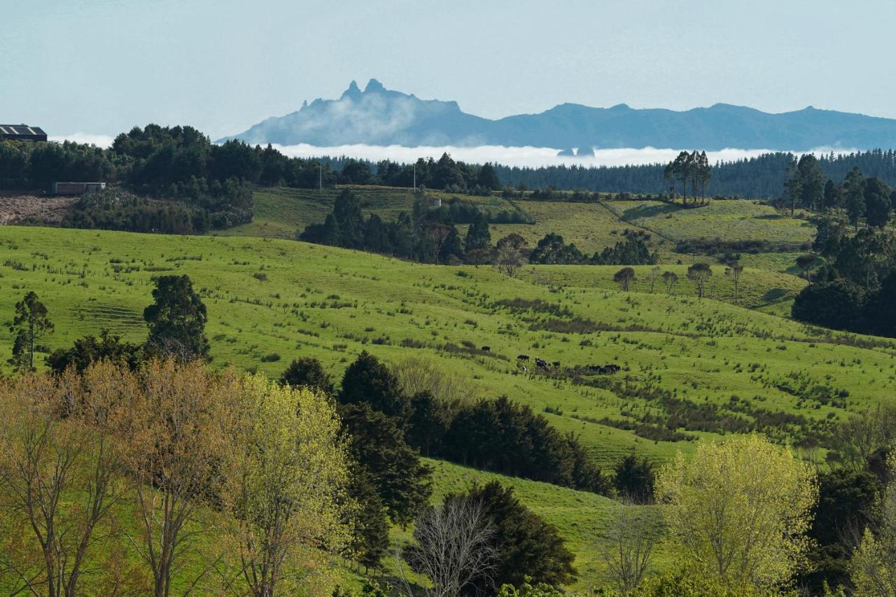Kauri Glen Bnb Te Arai Exteriér fotografie